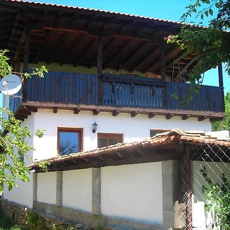 Guest House Yana Turkasheni Bagian luar foto