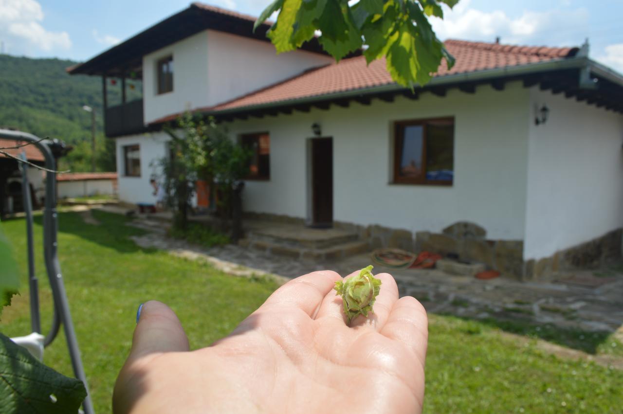 Guest House Yana Turkasheni Bagian luar foto