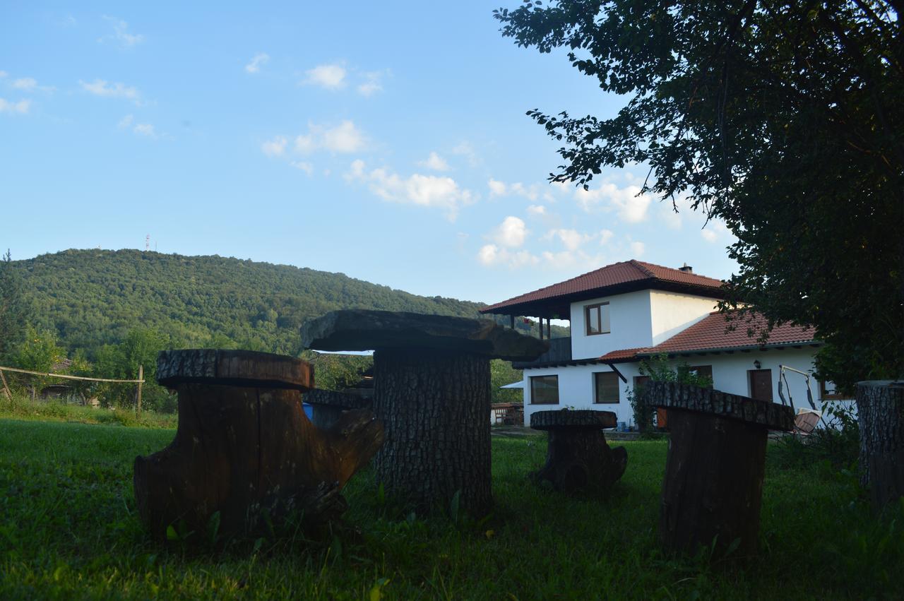 Guest House Yana Turkasheni Bagian luar foto