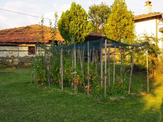 Guest House Yana Turkasheni Bagian luar foto