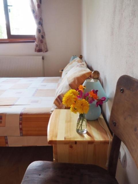 Guest House Yana Turkasheni Bagian luar foto