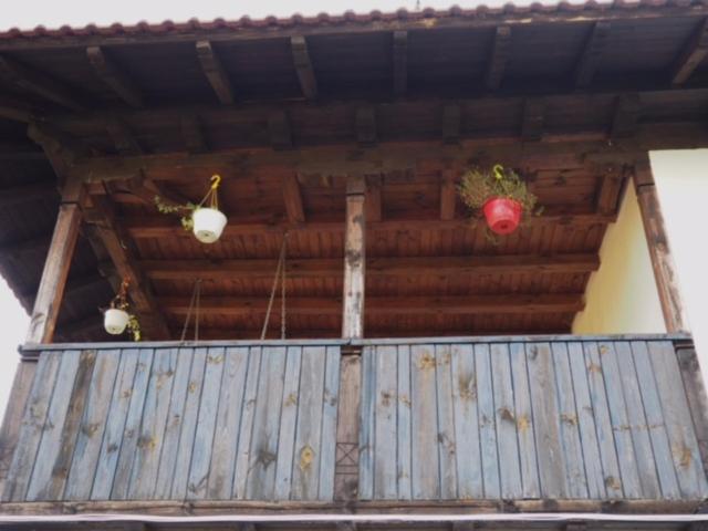 Guest House Yana Turkasheni Bagian luar foto