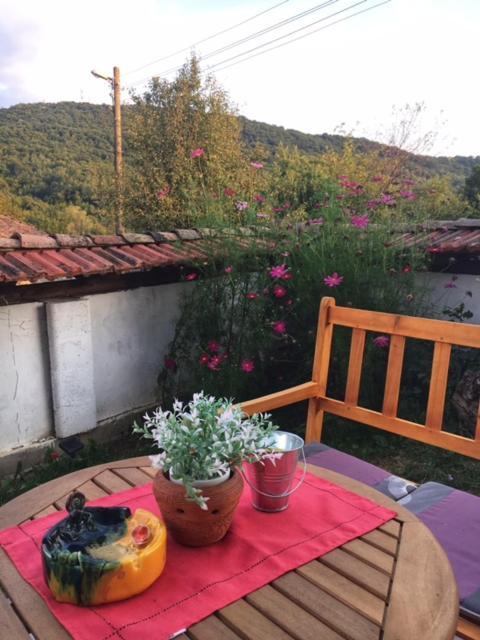 Guest House Yana Turkasheni Bagian luar foto