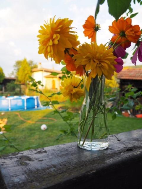 Guest House Yana Turkasheni Bagian luar foto